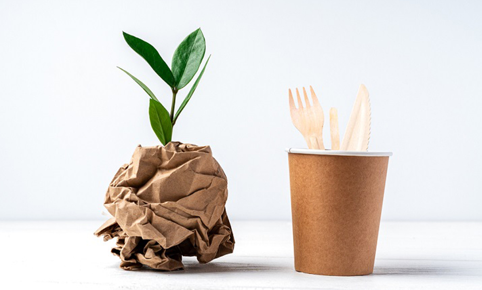Why You Should Buy Biodegradable Products