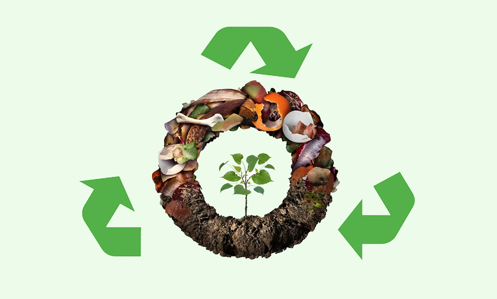 So Do You Know What "Biodegradable" Really Means