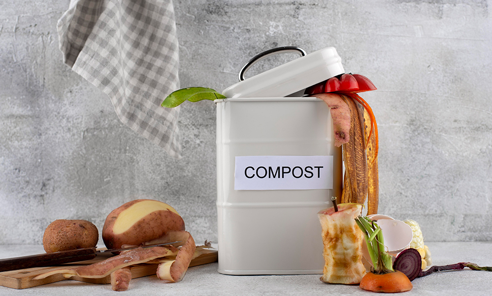 Home Compostable Bags: A Sustainable Solution for Waste Management