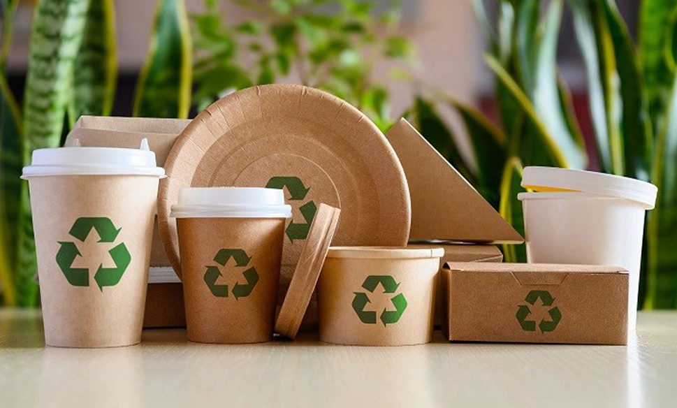 WHAT IS SUSTAINABLE PACKAGING?