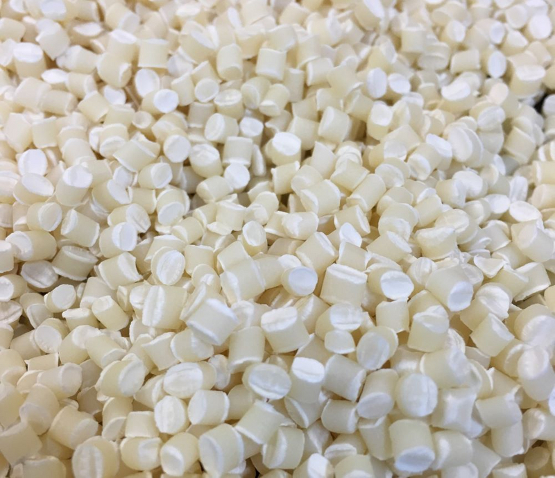 BiolegeenDG Compostable Resins Coatings And Laminates