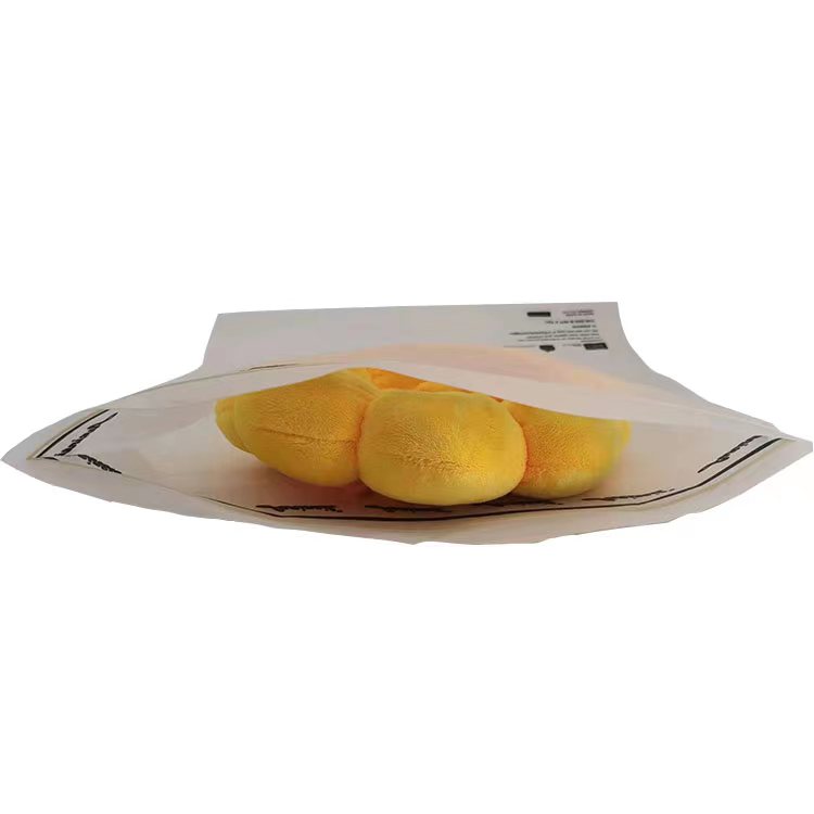 Custom Home Compostable Zip Lock Clothing Bag