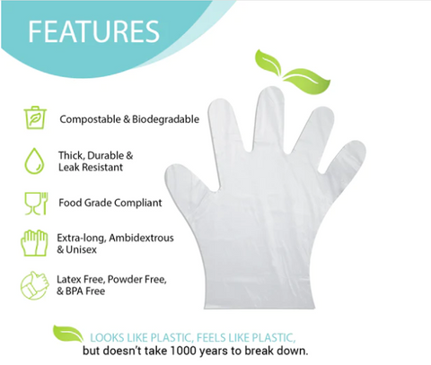 Home Compostable Disposable Gloves