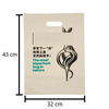 F0001 Home Compostable Handle Bag