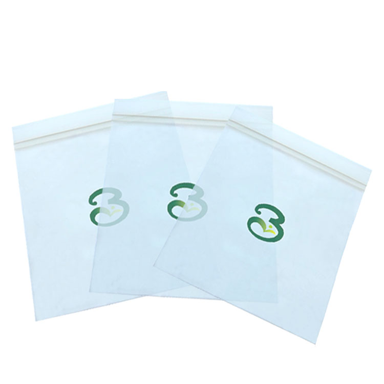Biolegeen Home Compostable Double Zipper Bag