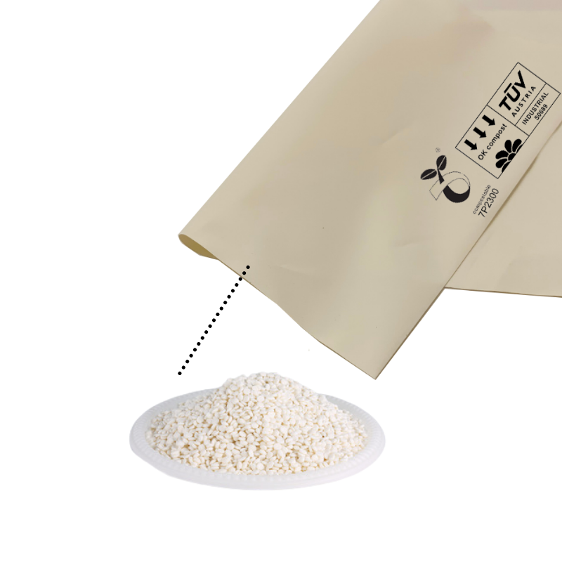 B0001 Home Compostable Self Adhesive Bag 