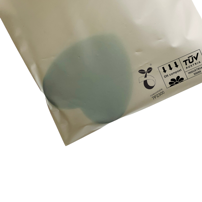 B0001 Home Compostable Self Adhesive Bag 