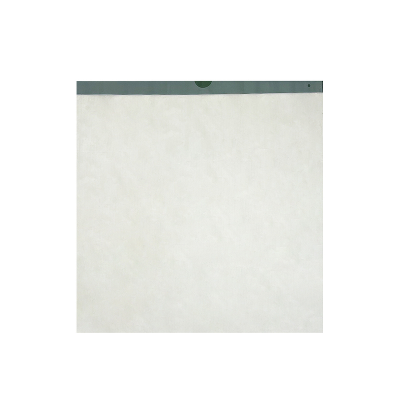 BiolegeenDG Compostable Disposal Drawstring Trash Bags