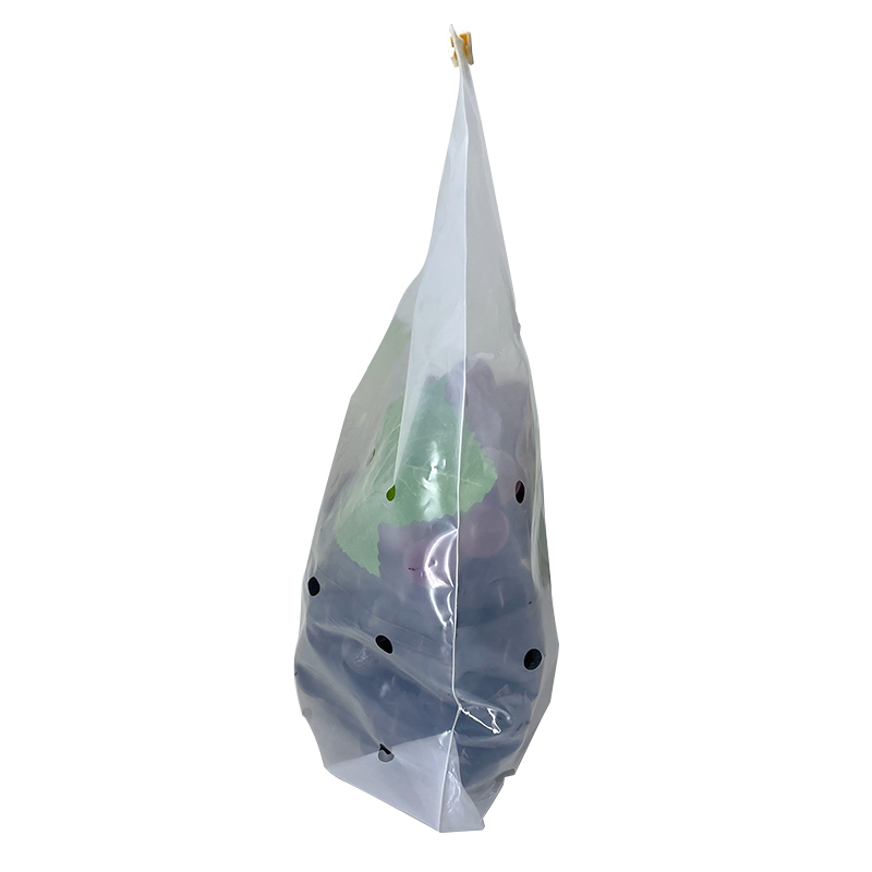 Custom Food Storage Slider Bag 