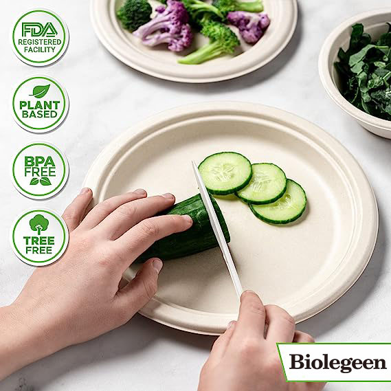 100% Compostable Disposable Spoons