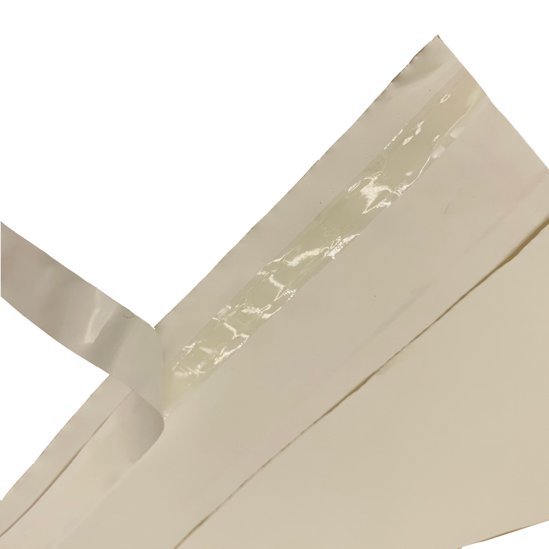 B0001 Home Compostable Self Adhesive Bag 