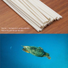 100% Compostable Disposable Straws