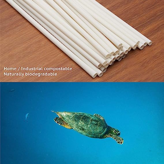 100% Compostable Disposable Straws