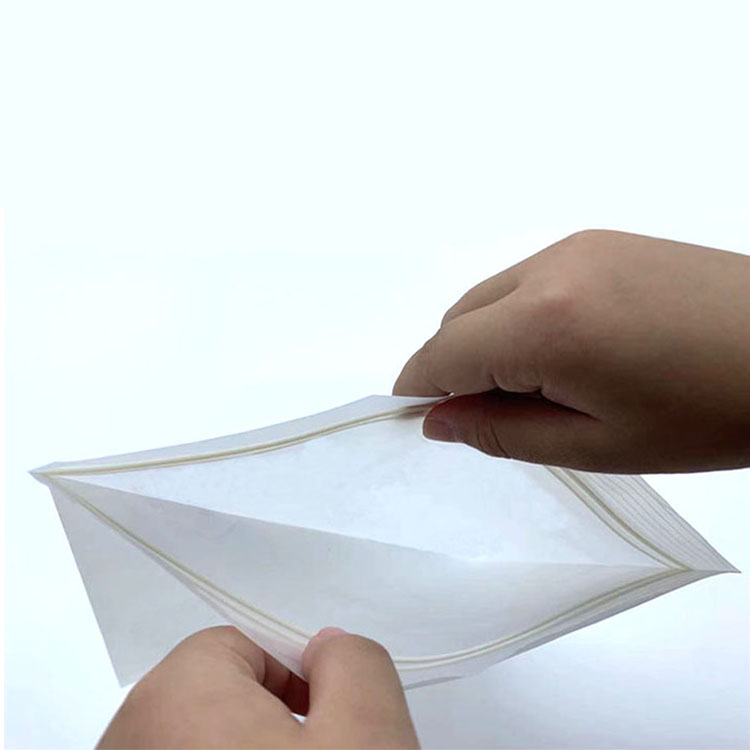 Biolegeen Home Compostable Double Zipper Bag