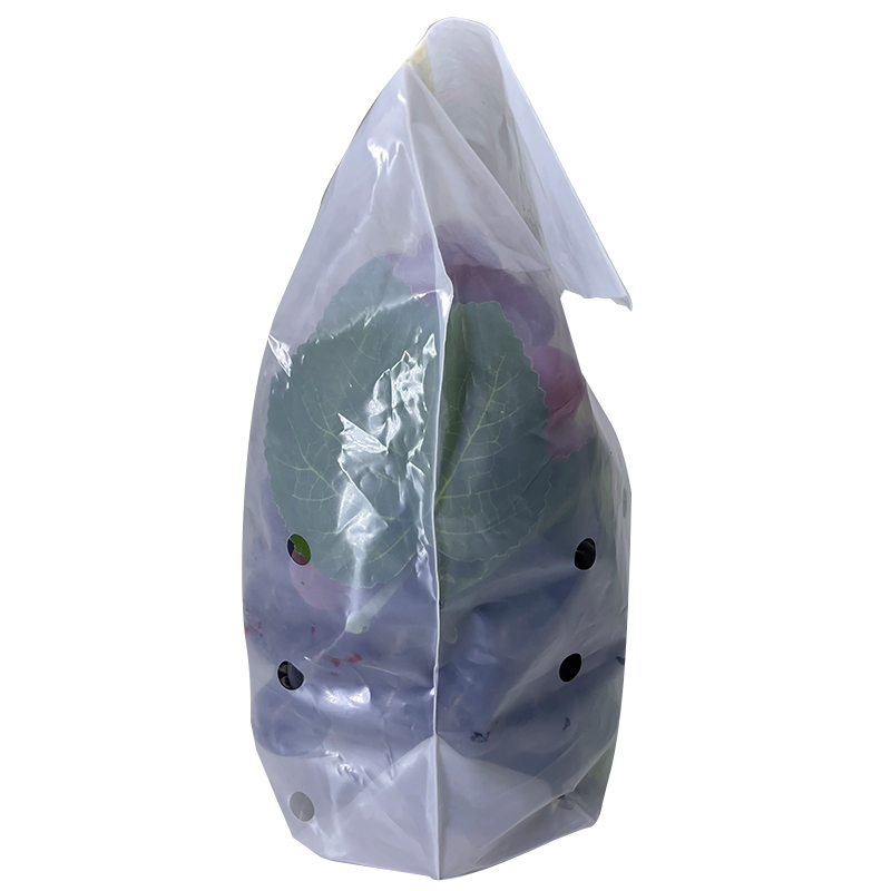 Fruits Storage Handle Zipper Bag 