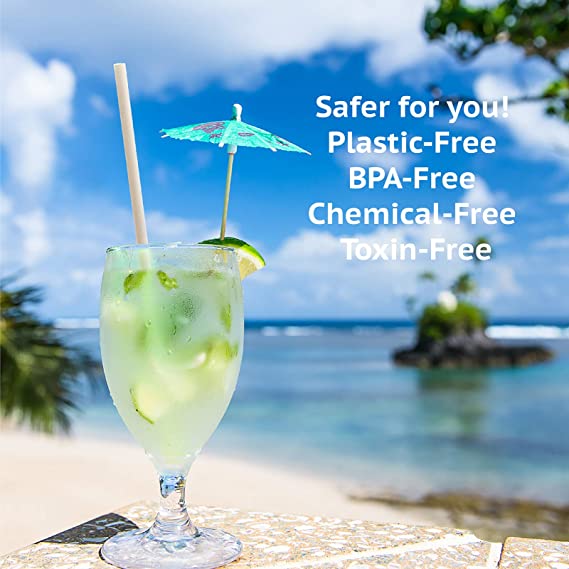 100% Compostable Disposable Straws
